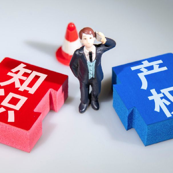 High-tech disputes test courts' judicial expertise - Chinadaily.com.cn